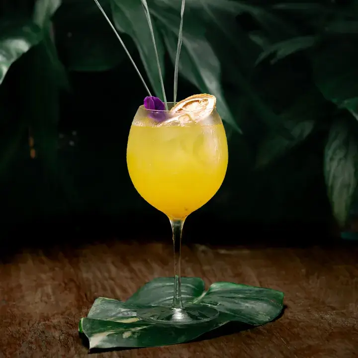 Bebidas Mamazzita Los Cabos